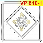 vp810-1-293
